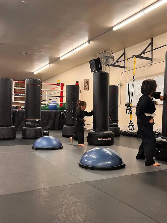 Seattle Martial Arts Classes for Preschooler